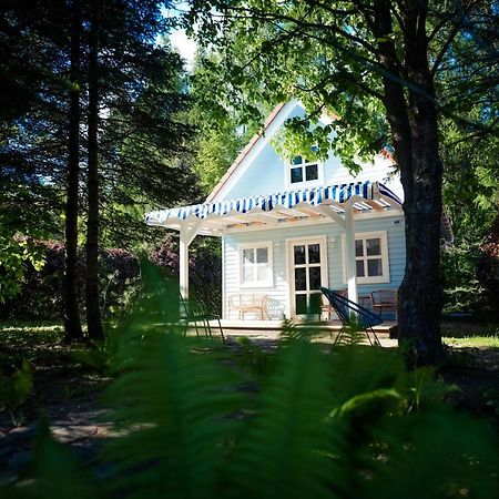 Apartmán Kwiat Paproci Ryn  Exteriér fotografie