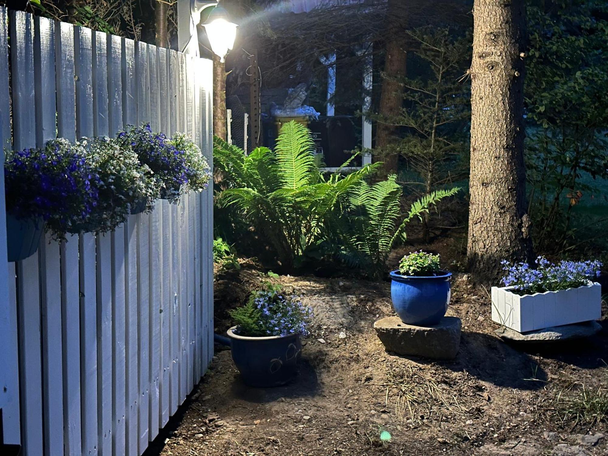 Apartmán Kwiat Paproci Ryn  Exteriér fotografie